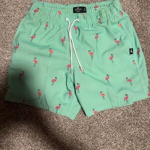 Hollister Mint Swim Trunks with Pink Flamingo Print